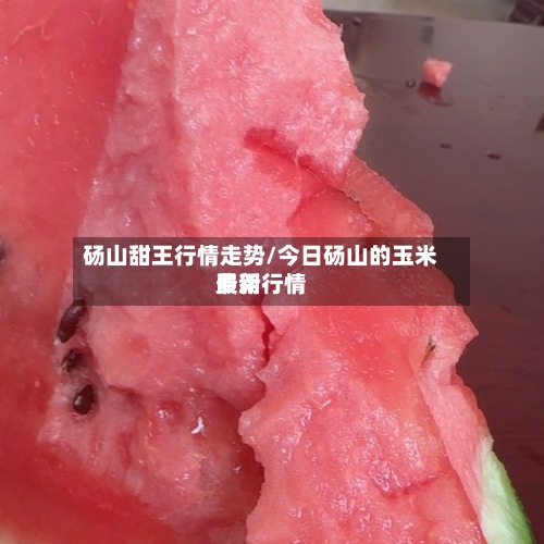 砀山甜王行情走势/今日砀山的玉米费用最新行情-第3张图片