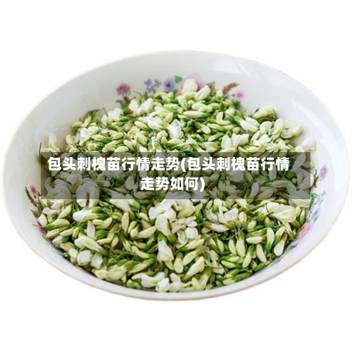 包头刺槐苗行情走势(包头刺槐苗行情走势如何)
