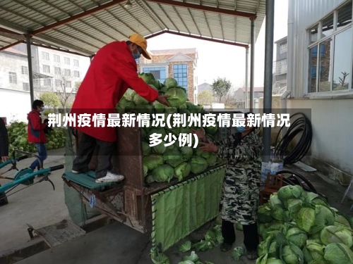 荆州疫情最新情况(荆州疫情最新情况多少例)-第2张图片