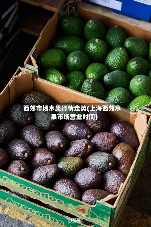 西郊市场水果行情走势(上海西郊水果市场营业时间)