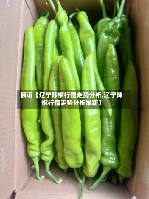 最近【辽宁辣椒行情走势分析,辽宁辣椒行情走势分析最新】-第2张图片