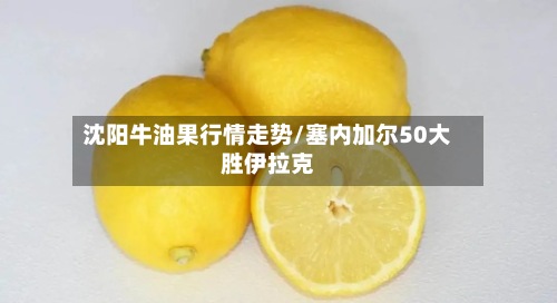 沈阳牛油果行情走势/塞内加尔50大胜伊拉克