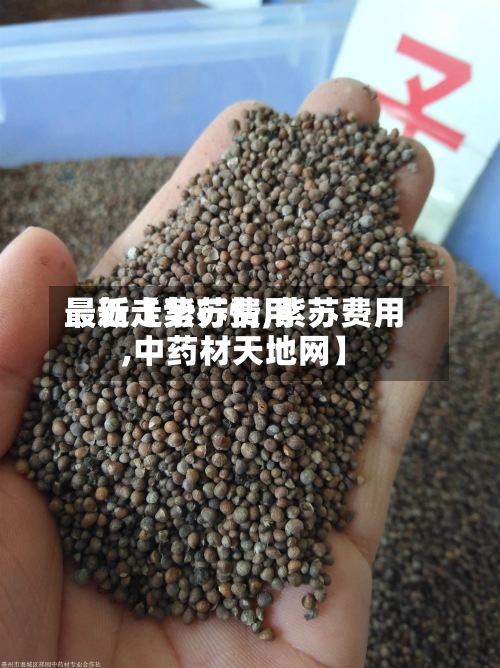 最近【紫苏费用最新走势行情,紫苏费用,中药材天地网】-第2张图片