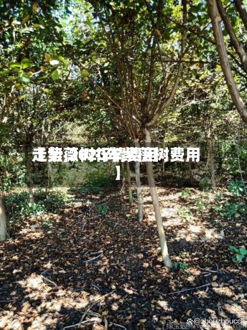 【紫薇树行情费用走势,2020年紫薇树费用】