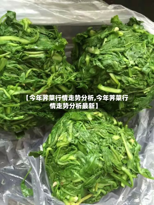 【今年荠菜行情走势分析,今年荠菜行情走势分析最新】