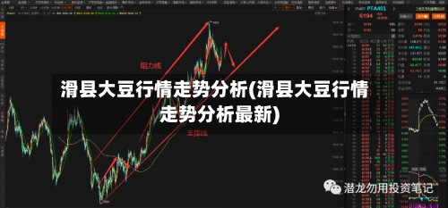 滑县大豆行情走势分析(滑县大豆行情走势分析最新)