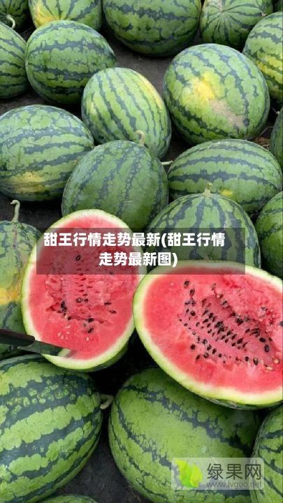 甜王行情走势最新(甜王行情走势最新图)-第2张图片