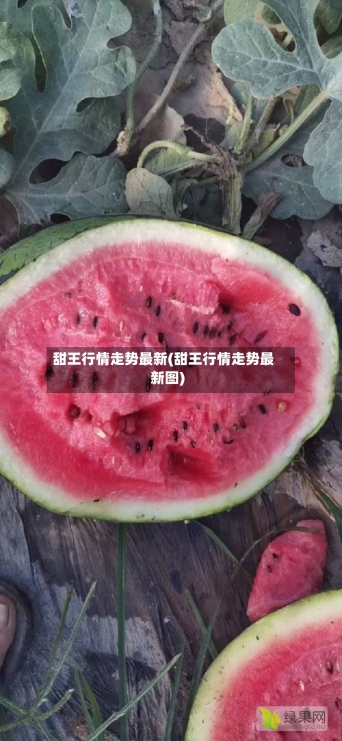 甜王行情走势最新(甜王行情走势最新图)