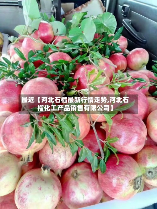 最近【河北石榴最新行情走势,河北石榴化工产品销售有限公司】