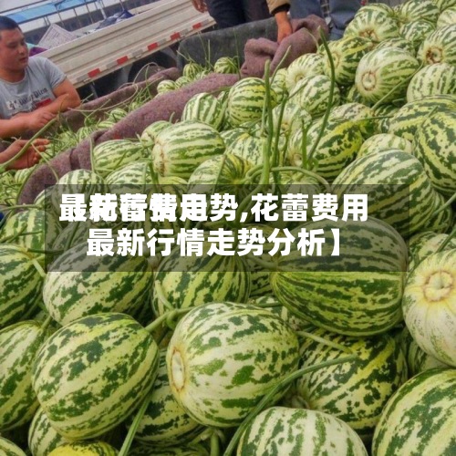 【花蕾费用最新行情走势,花蕾费用最新行情走势分析】