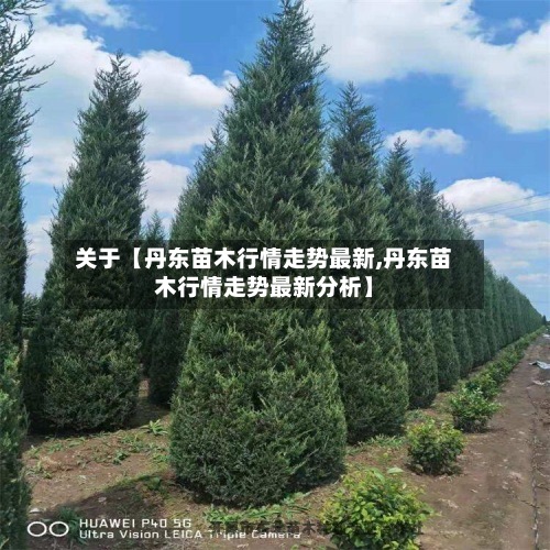 关于【丹东苗木行情走势最新,丹东苗木行情走势最新分析】-第2张图片