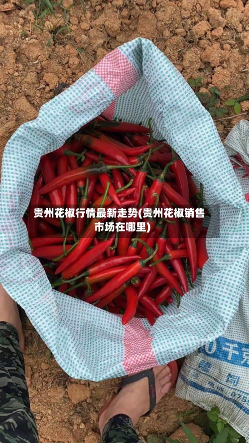 贵州花椒行情最新走势(贵州花椒销售市场在哪里)