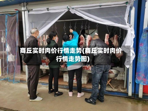 商丘实时肉价行情走势(商丘实时肉价行情走势图)
