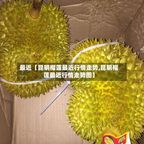 最近【昆明榴莲最近行情走势,昆明榴莲最近行情走势图】-第2张图片