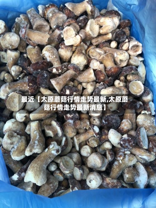 最近【太原蘑菇行情走势最新,太原蘑菇行情走势最新消息】-第3张图片
