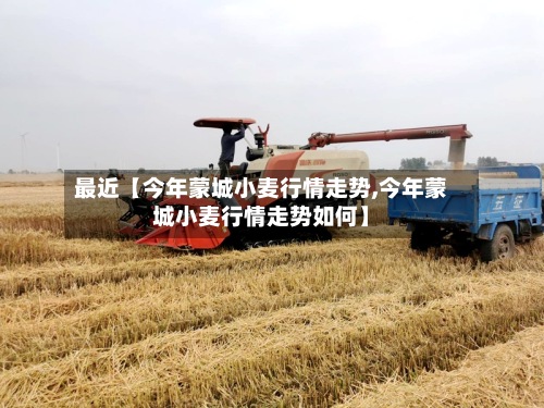 最近【今年蒙城小麦行情走势,今年蒙城小麦行情走势如何】-第3张图片