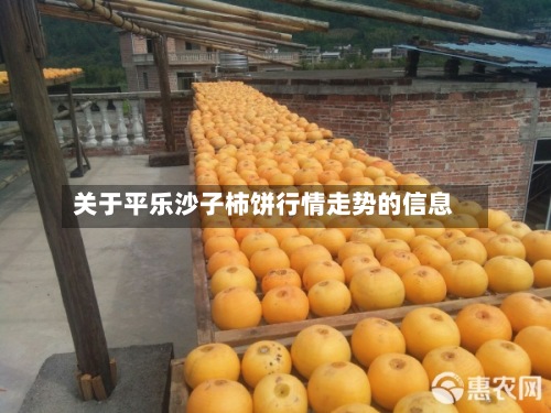 关于平乐沙子柿饼行情走势的信息-第3张图片