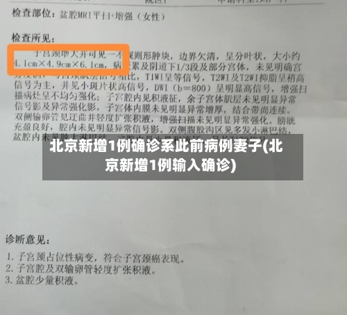 北京新增1例确诊系此前病例妻子(北京新增1例输入确诊)-第3张图片