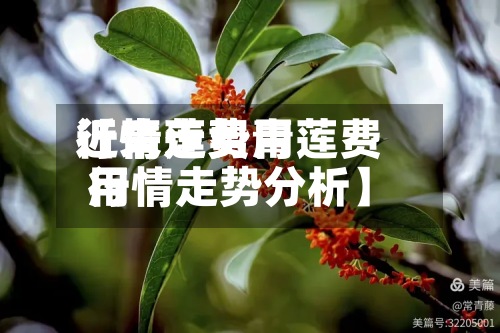 近来【青莲费用行情走势青莲费用行情走势分析】
