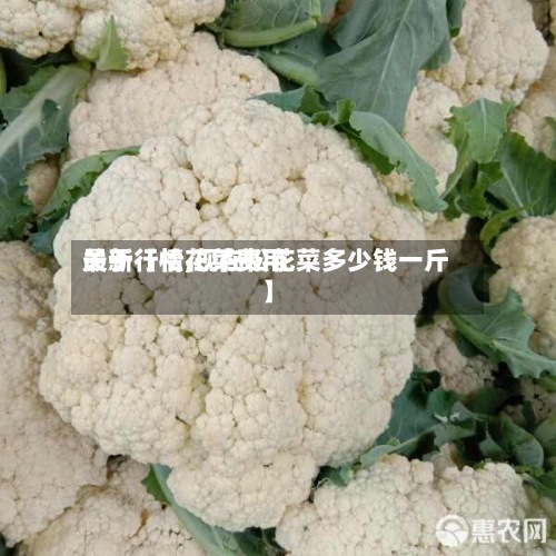 关于【松花菜费用最新行情,现在松花菜多少钱一斤】-第2张图片