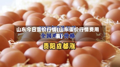山东今日蛋价行情(山东蛋价行情费用表)