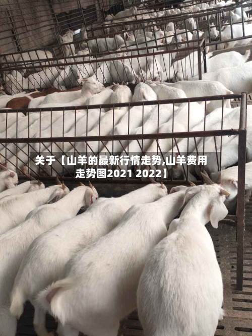 关于【山羊的最新行情走势,山羊费用走势图2021 2022】