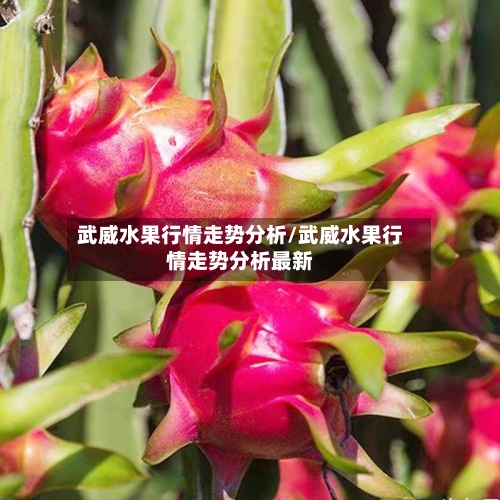 武威水果行情走势分析/武威水果行情走势分析最新