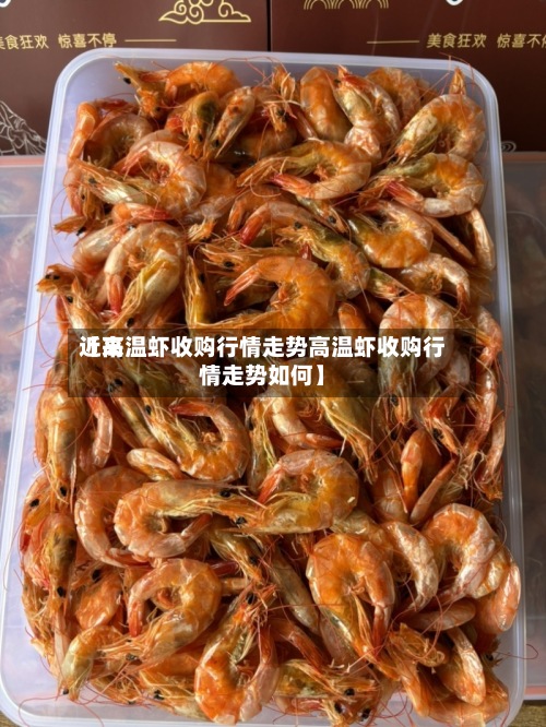 近来【高温虾收购行情走势高温虾收购行情走势如何】