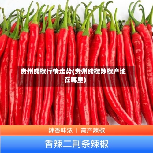 贵州线椒行情走势(贵州线椒辣椒产地在哪里)-第2张图片