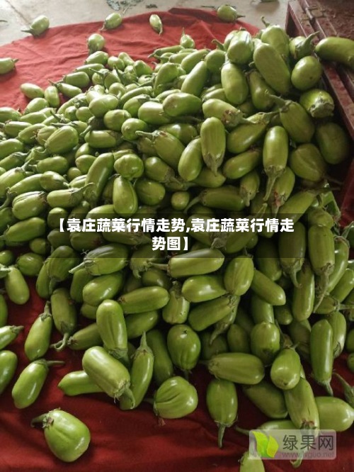 【袁庄蔬菜行情走势,袁庄蔬菜行情走势图】