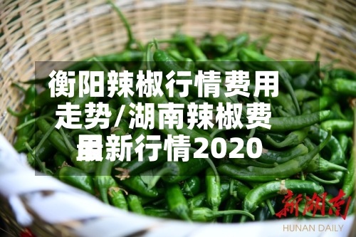 衡阳辣椒行情费用走势/湖南辣椒费用最新行情2020