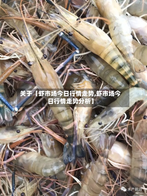 关于【虾市场今日行情走势,虾市场今日行情走势分析】