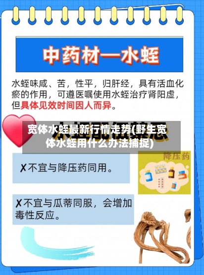 宽体水蛭最新行情走势(野生宽体水蛭用什么办法捕捉)-第2张图片