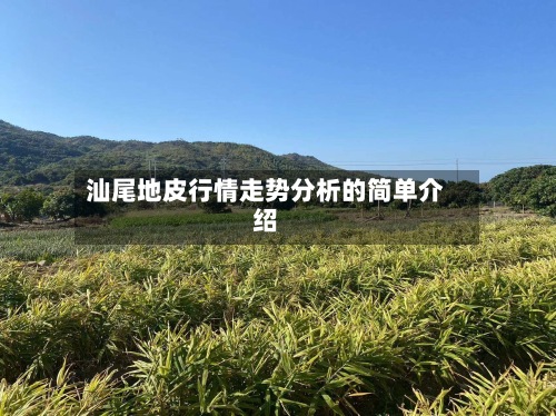 汕尾地皮行情走势分析的简单介绍