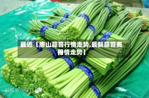 最近【唐山蒜苔行情走势,最新蒜苔费用行情走势】