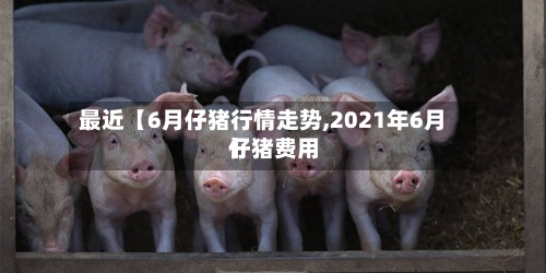 最近【6月仔猪行情走势,2021年6月仔猪费用】-第2张图片