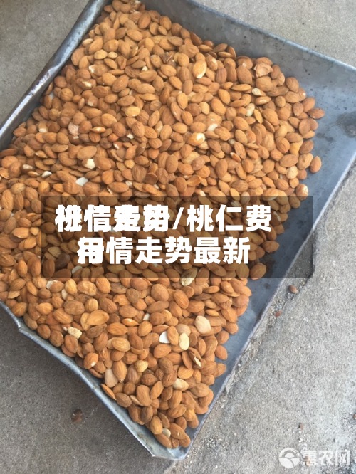 桃仁费用行情走势/桃仁费用行情走势最新