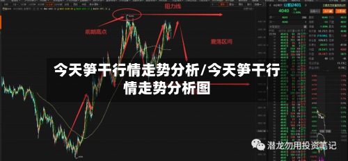 今天笋干行情走势分析/今天笋干行情走势分析图