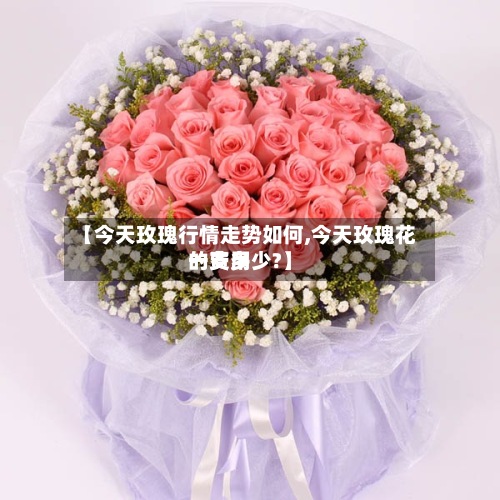 【今天玫瑰行情走势如何,今天玫瑰花的费用一支多少?】-第2张图片