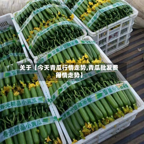 关于【今天青瓜行情走势,青瓜批发费用行情走势】-第3张图片