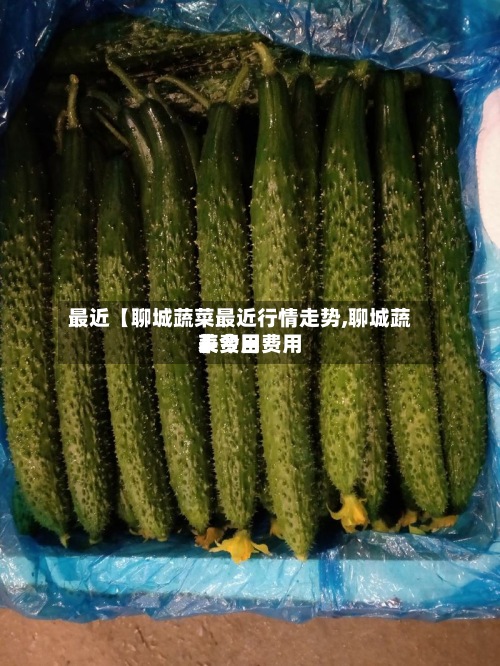最近【聊城蔬菜最近行情走势,聊城蔬菜费用表今日费用】-第3张图片