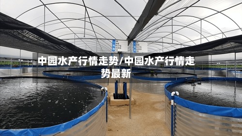 中园水产行情走势/中园水产行情走势最新-第2张图片