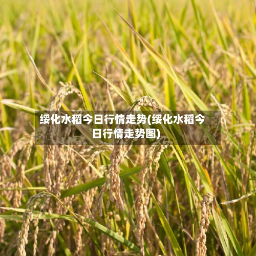 绥化水稻今日行情走势(绥化水稻今日行情走势图)