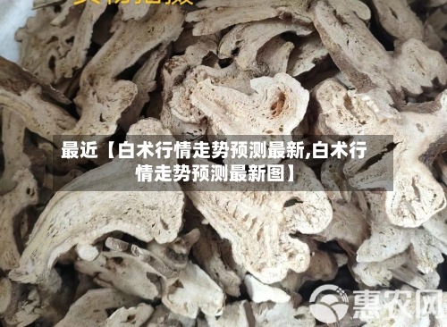 最近【白术行情走势预测最新,白术行情走势预测最新图】-第2张图片