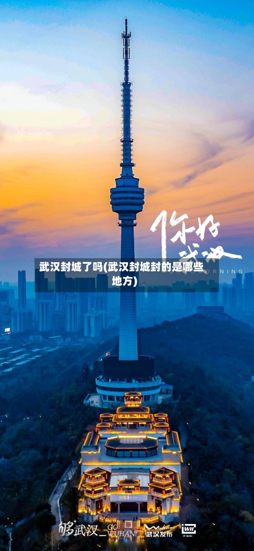 武汉封城了吗(武汉封城封的是哪些地方)
