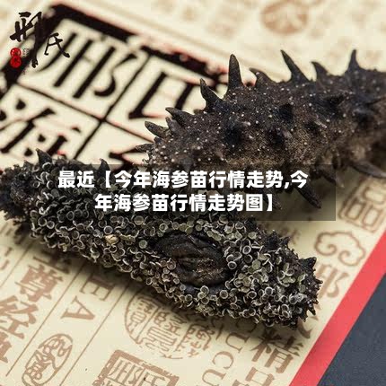 最近【今年海参苗行情走势,今年海参苗行情走势图】