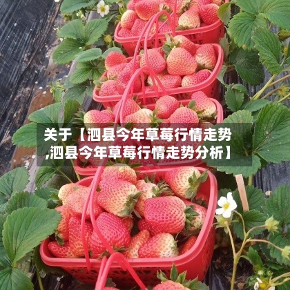 关于【泗县今年草莓行情走势,泗县今年草莓行情走势分析】