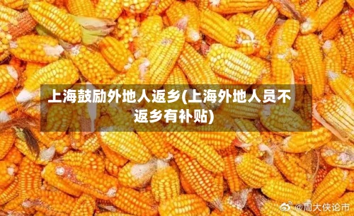 上海鼓励外地人返乡(上海外地人员不返乡有补贴)-第2张图片