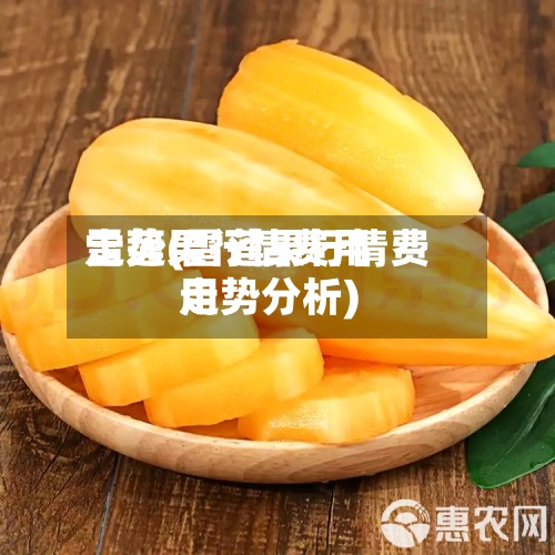 雪莲果行情费用走势(雪莲果行情费用走势分析)