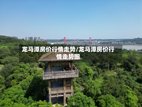 龙马潭房价行情走势/龙马潭房价行情走势图